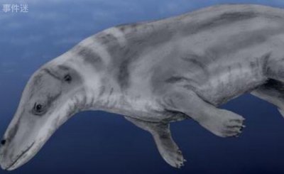 ​海洋当中比较古老的一种鲸鱼种类 原鲸已灭绝(可在陆地走)