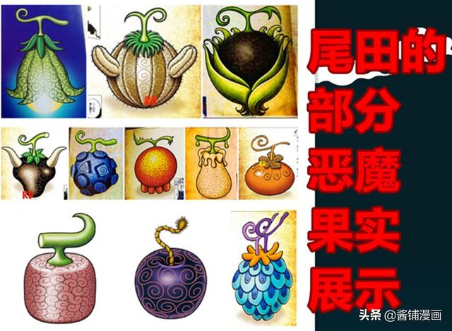 海贼王第1053话情报草帽团悬赏金（海贼王最新情报）(5)