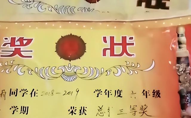 儿子满墙奖状却未能考上重点高中（妈妈怒撕满墙奖状）(7)