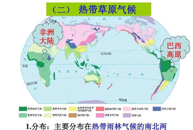 热带雨林气候特点及分布地区成因