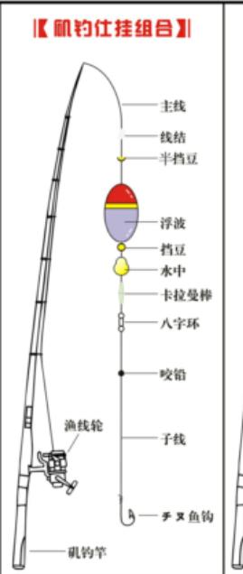 海钓有几种钓法（常用各种海钓钓法钓组图讲解）(5)