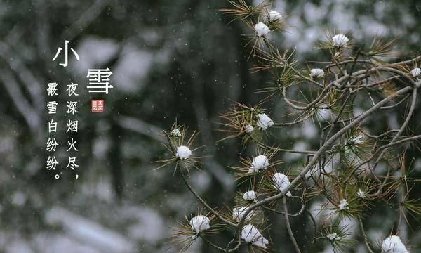 小雪的天气特点是什么