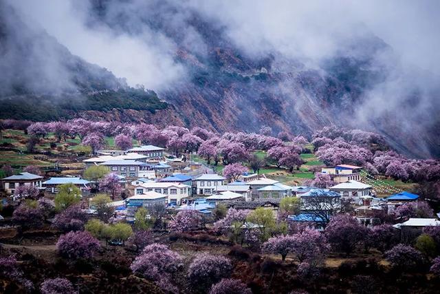 适合春游的景点有哪些地方（10个最美春游旅行地）(8)