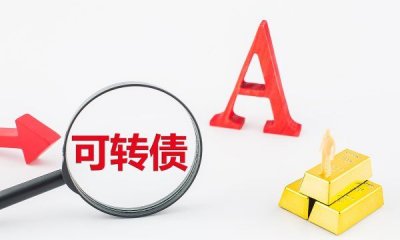 ​转股价值和转股溢价率什么意思,什么是转股价值和转股价格