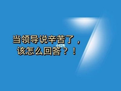 ​领导说辛苦了10种回复