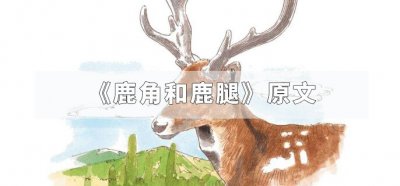 ​《鹿角和鹿腿》原文