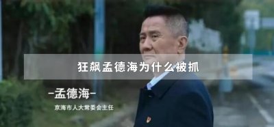 ​狂飙孟德海为什么被抓