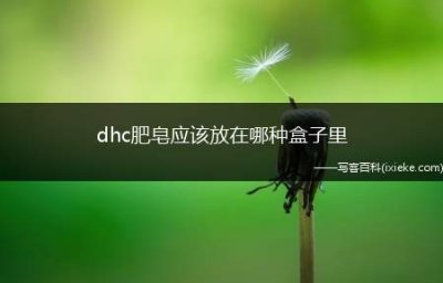 ​dhc肥皂应该放在哪种盒子里？