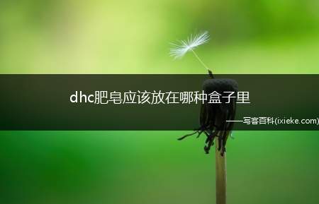 dhc肥皂应该放在哪种盒子里？