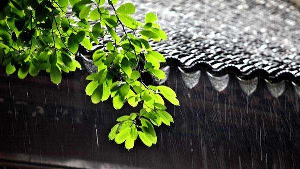 梅雨季节是什么时候,梅雨季节是什么时间图1