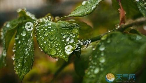 梅雨季节什么时候开始