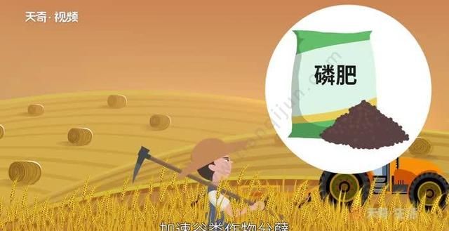 磷肥的作用，尿素磷肥对养殖的作用？图4