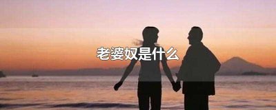 ​老婆奴是什么(老婆奴是指当下女性对好老公标准的一种借指)