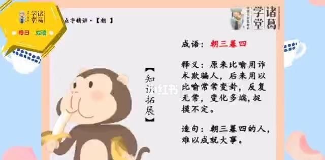 朝三暮四代表什么生肖数字