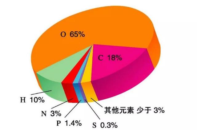 人死以后会去什么地方（人死后究竟会到哪里）(2)