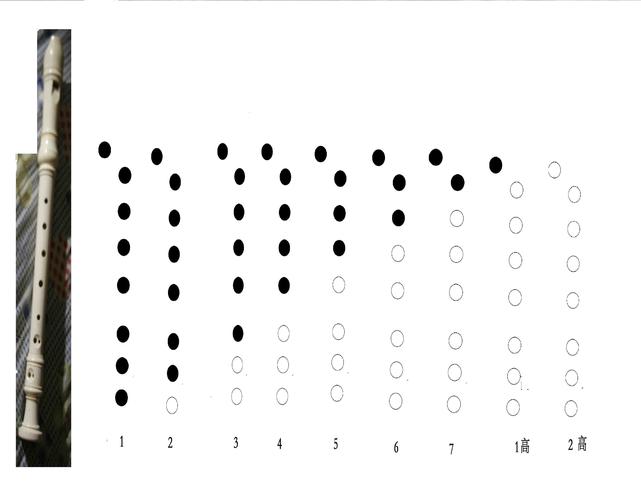 正确吹竖笛方法（正确吹竖笛方法介绍）