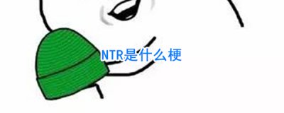 ​ntr什么意思网络语言 ntr具体是指的什么意思