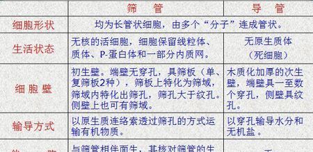 植物的导管和筛管分别运输什么物质