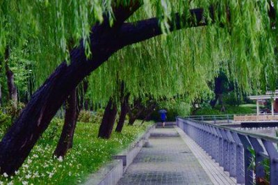 ​秋雨霏霏飘飘洒洒的意思