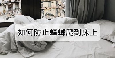 ​床底下有蟑螂怎么避免爬到床上,床上有蟑螂怎么办怎样才能防止蟑螂爬到床上