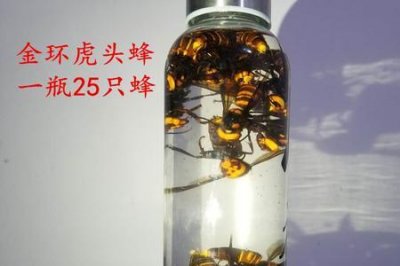 ​虎头蜂酒的泡制配方