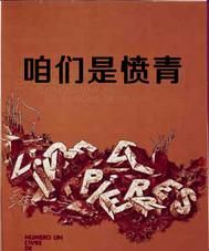 什么样的言行称为愤青愤青能起到推动社会进步吗