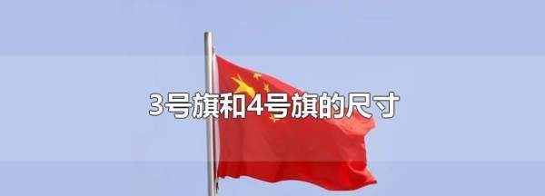 4号国旗尺寸是多少厘米长,国旗的尺寸有多少种图2