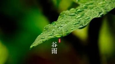 ​立夏下雨有说法吗，农村俗语＂谷雨前后一场雨，胜似秀才中了举＂谷雨下雨有什