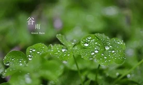 立夏下雨有说法吗，农村俗语＂谷雨前后一场雨，胜似秀才中了举＂谷雨下雨有什么说法？图2