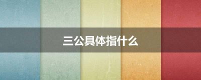 ​三公具体指什么