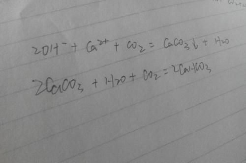 氢氧化钙和二氧化碳反应的离子方程式过程