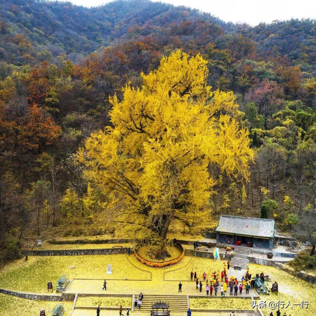 河南风景旅游景点排行前十名（河南风景区排名前十名）