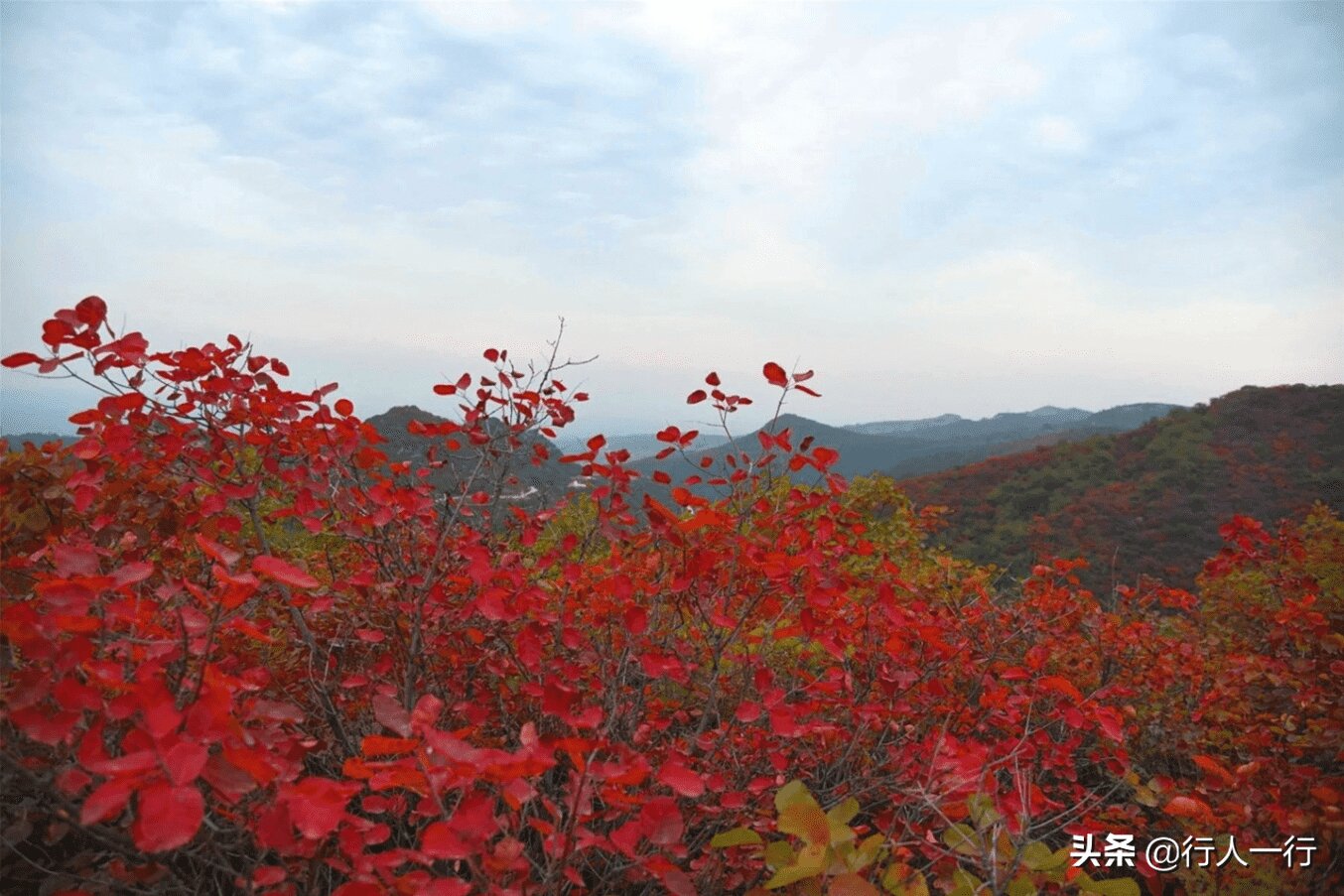 河南风景旅游景点排行前十名（河南风景区排名前十名）