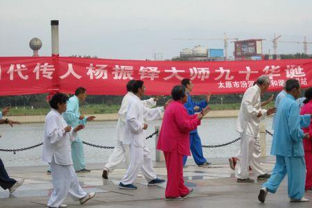 杨式太极拳传人排名