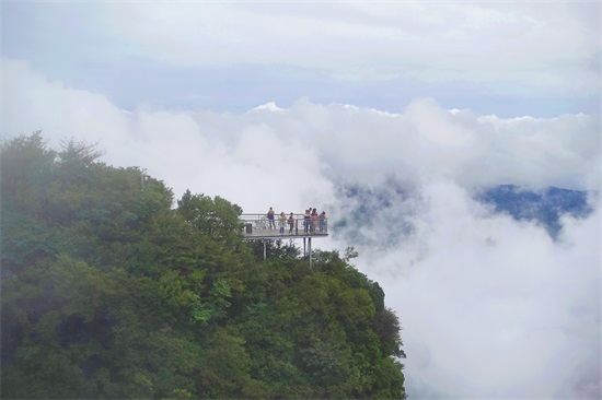 龙头山在汉中的哪个县（龙头山景区在什么地方）