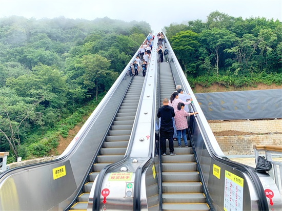 龙头山在汉中的哪个县（龙头山景区在什么地方）