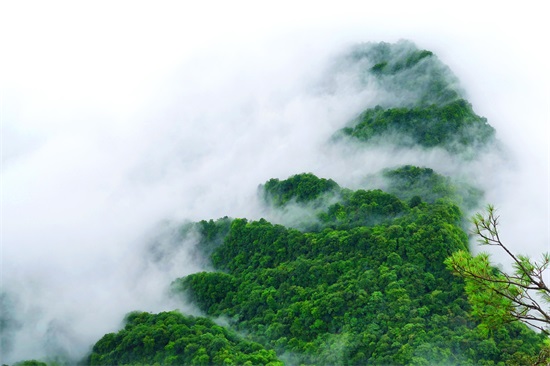 龙头山在汉中的哪个县（龙头山景区在什么地方）