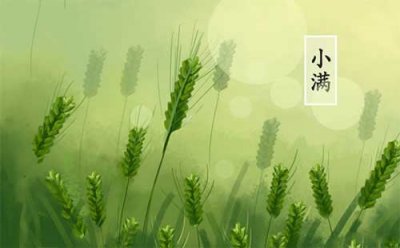 ​小满是什么季节，小满简介