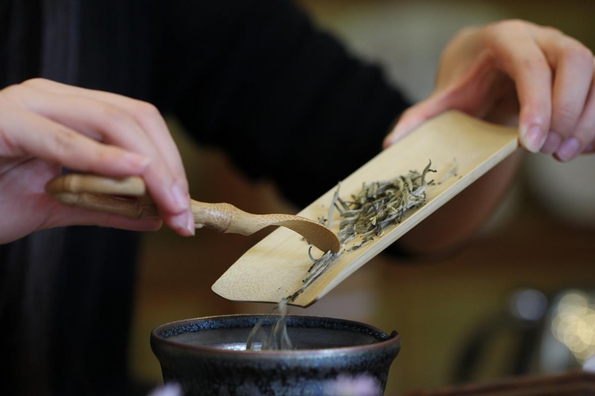 怎样泡好一杯茶首先记住这五点（茶泡多久最佳时间）