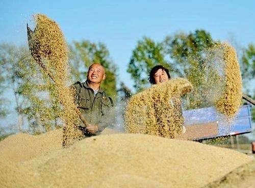 中国现在储备粮够中国人吃多长时间-（中国粮食储备够吃几年）