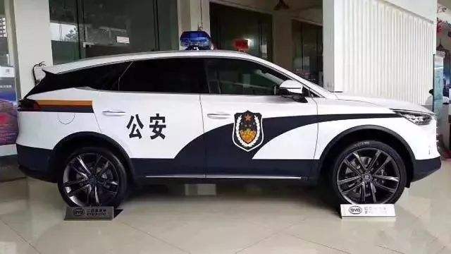 刑警支队长是什么级别(刑警支队长有实权吗)