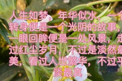 ​半暖半夏半倾城下一句是什么