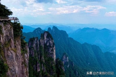 ​湖南与广东交界有座山，藏着“国宝”级毒蛇，数量稀少一条值百万