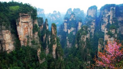 ​张家界有哪些景点必去（湖南张家界游玩必去的几个地方景点）