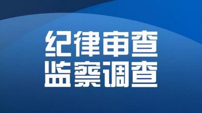 ​河南省伊川县人大常委会二级调研员金纯超接受纪律审查和监察调查