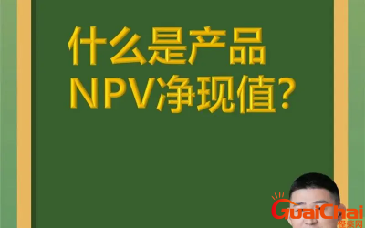 ​npv的意思是什么？npv指的是什么意思？