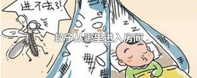 ​蚊子如何进入房间 蚊子是怎么进入房间的视频