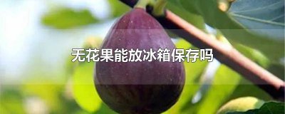 ​无花果可以放冰箱里冷藏吗 无花果要放冰箱保存吗