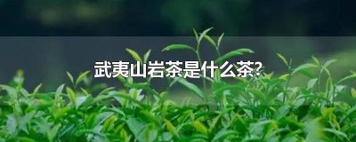 ​武夷山岩茶是什么茶系 什么叫武夷岩茶