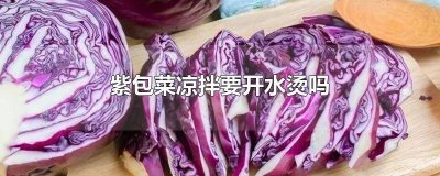 ​请问紫包菜怎么凉拌 凉拌紫包菜怎么做